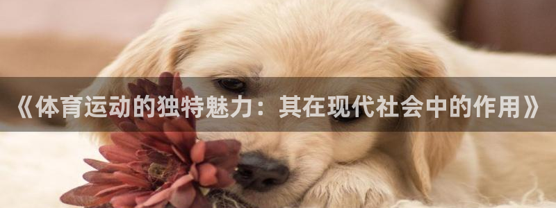 三亿体育网