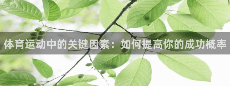 三亿体育