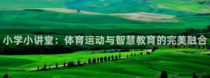 三亿体育
