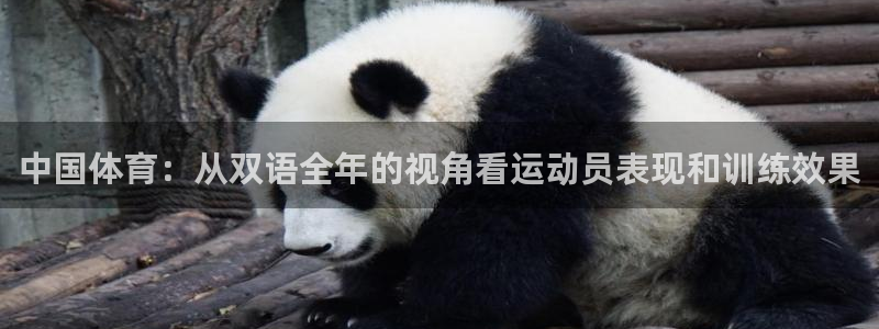 三亿体育登录
