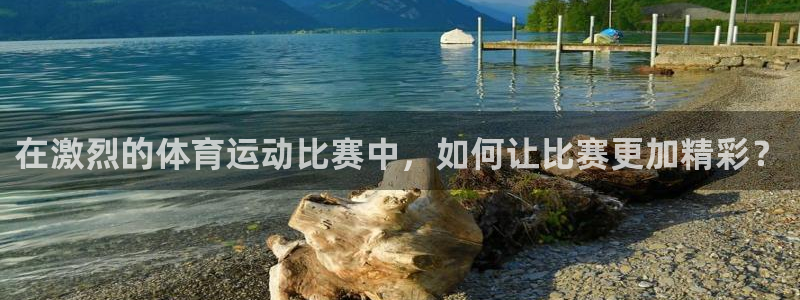 三亿体育登录