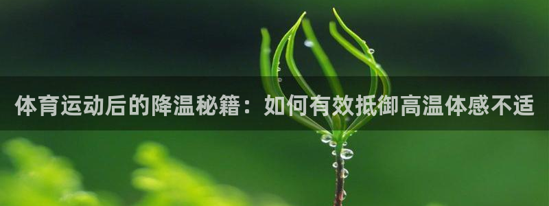 三亿体育网