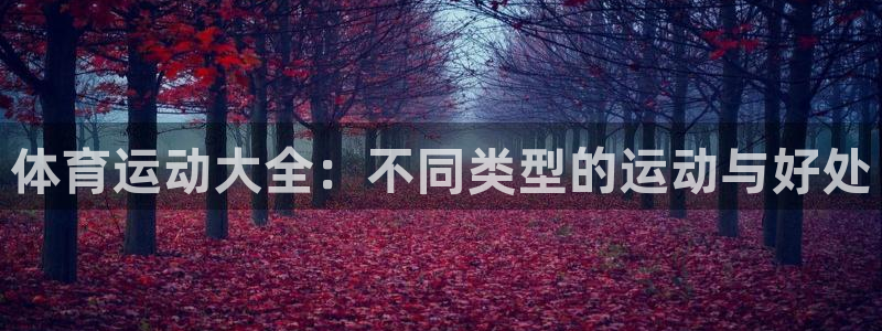 三亿体育网页版