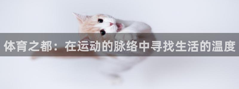 三亿体育网页版