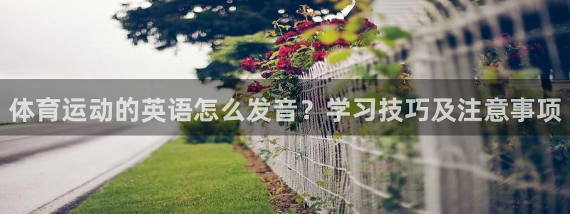 三亿体育网