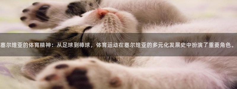 三亿体育