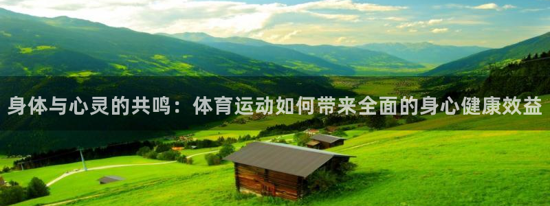 三亿体育网页版
