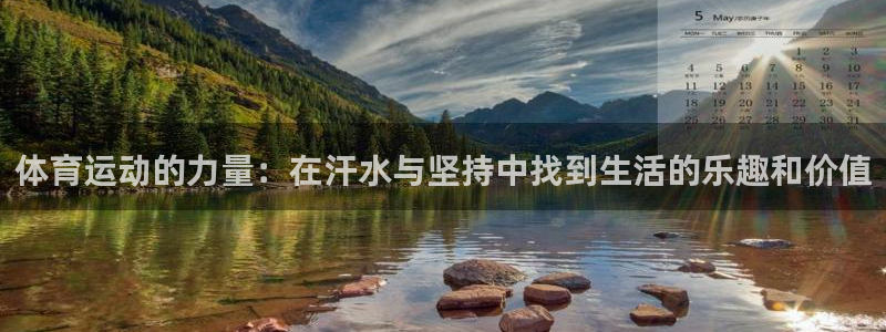 三亿体育网页版